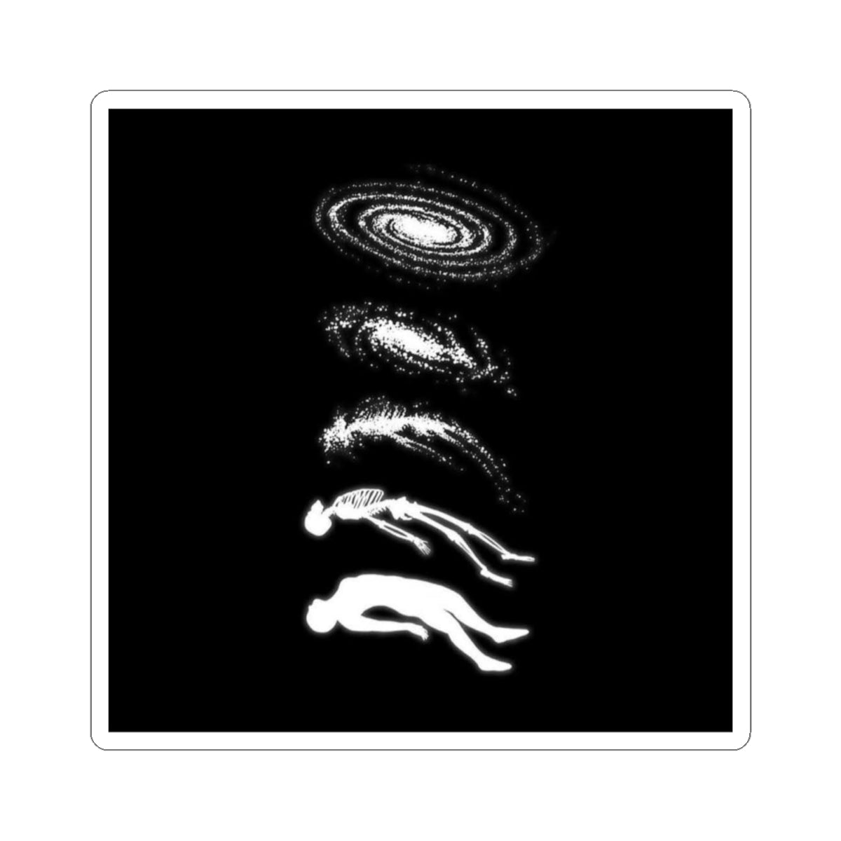 Cosmic Evolution Ascension Stickers | Galaxy Art | Unique Laptop Decals | Bumper Sticker | Gift  | Spirituality